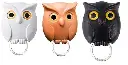 owl.webp